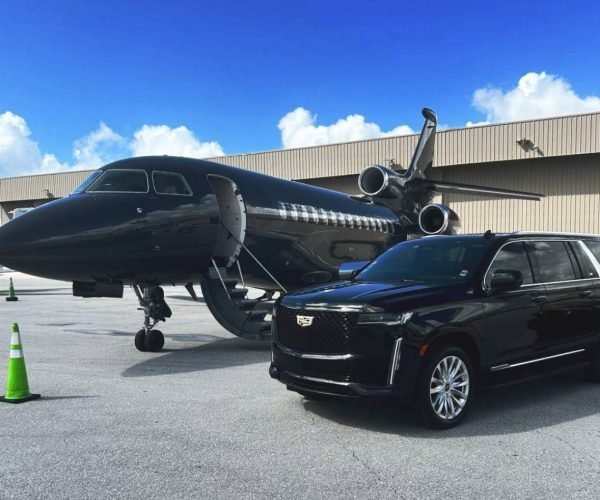 WhatsApp Image 2026-03-01 at 11.31.35 AM